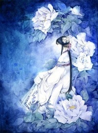 极品隐婿